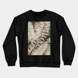 Botanical Abstract 2 Crewneck Sweatshirt